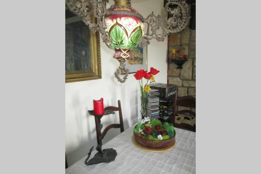 Villa Kornelija Stari Slankamen Extérieur photo