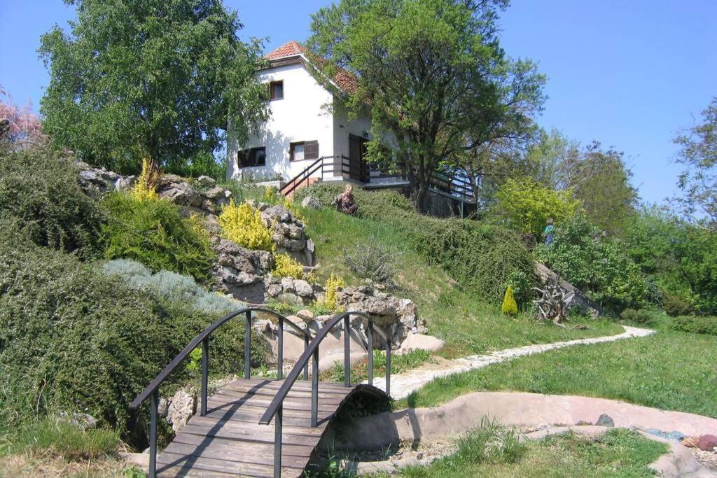 Villa Kornelija Stari Slankamen Extérieur photo