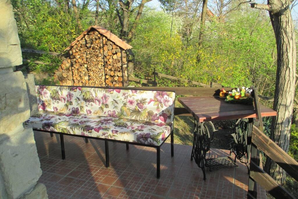 Villa Kornelija Stari Slankamen Extérieur photo